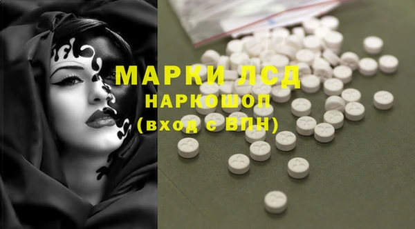 спиды Вяземский
