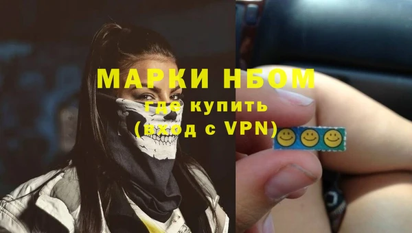 спиды Вяземский