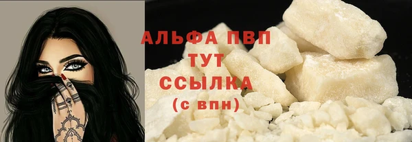 спиды Вяземский