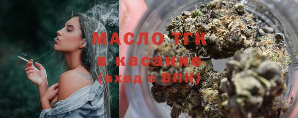спиды Вяземский