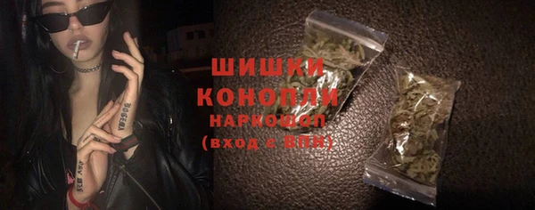 спиды Вяземский