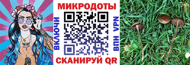 Купить где Лыткарино Галлюциногенные грибы Psilocybine cubensis